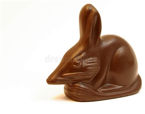 Easter Bilby stock photo. Image of gift, lolly, holiday - 12030842