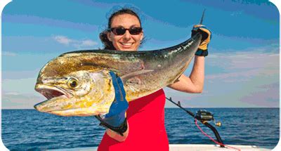 Daytona Florida Deep Fishing Charter Trip Ebay | World
