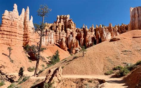 The Best Trails For Hiking in Utah’s National Parks | Travel Cheery