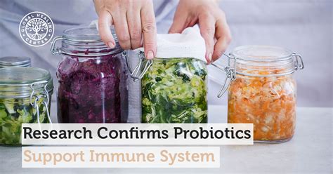 Research Confirms Probiotics Support Immune System