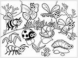Bugs And Insects Coloring Pages  Learny Kids sketch template