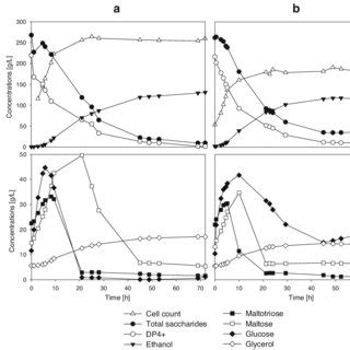 Examples of the time course of fermentation (saccharide, glycerol,... | Download Scientific Diagram