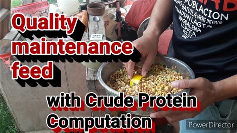 Maintenance feed with crude protien computation - YouTube