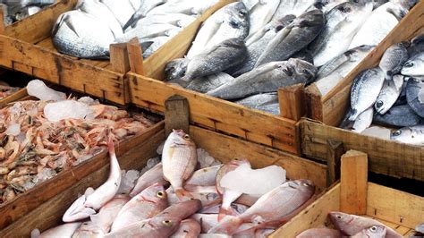 American seafood industry steadily increases its footprint | National ...