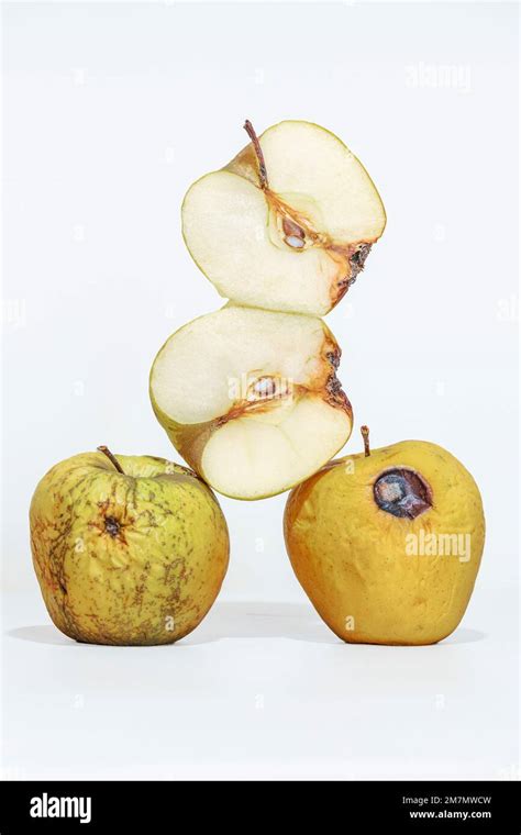 Spoiled, dehydrated and rotten apples, one apple cut in half, two apple halves, fruit isolated ...