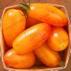 100 Nongmo Tomato Tree Seeds Nutrition - BestSeedsOnline.com - Free ...