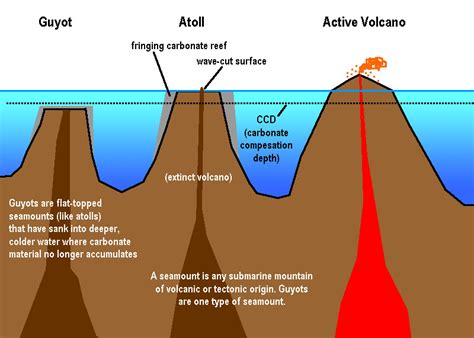 Guyot Diagram