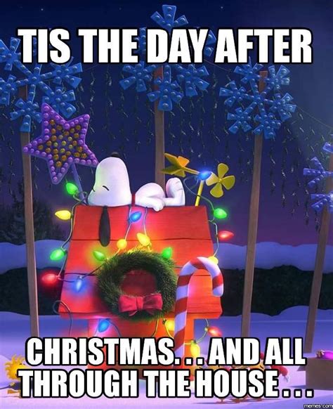 Pin by Lisa D'Ambrose on Christmas - The Day After | Christmas memes, Christmas eve meme ...