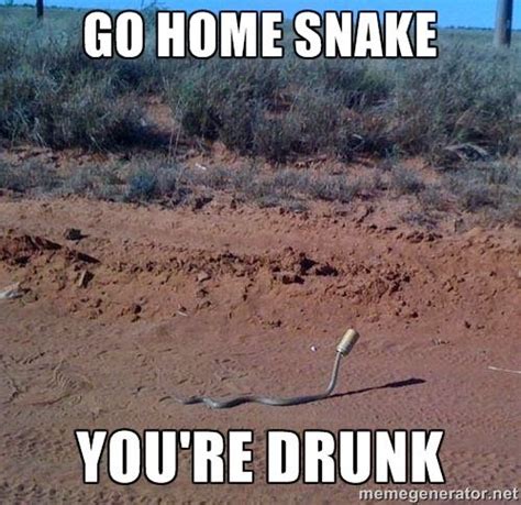 Image - Funny-Snake-Meme-Go-Home-Snake-You-Are-Drunk-Image.jpg | Animal Jam Clans Wiki | FANDOM ...