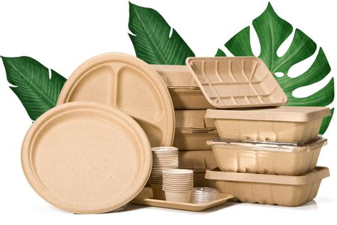 Biodegradable Packaging, Eco Friendly Packaging, Kraft Packaging