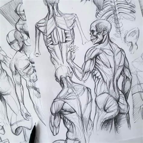 Human Anatomy Drawing Ideas and Pose References - Beautiful Dawn Designs