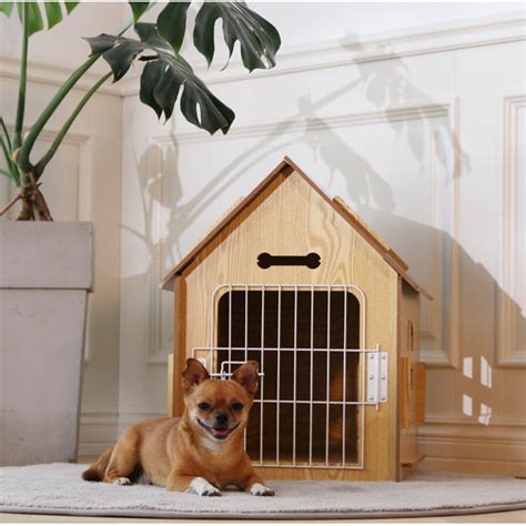 How Do You Clean A Dog Igloo