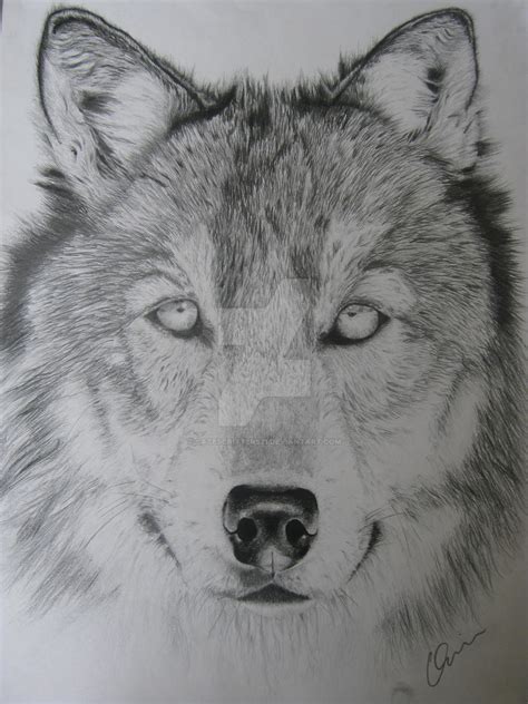 Timber wolf by catescritters21 on DeviantArt