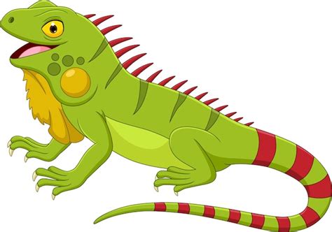 Premium Vector | Cartoon iguana isolated