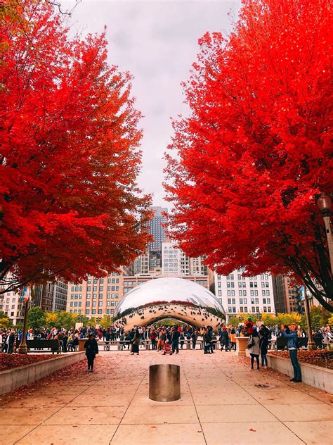 Chicago Bean Wall Art, Cloud Gate, Chicago Photography, Chicago ...