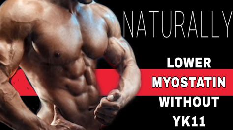 How To Lower Myostatin With OR Without YK11 sarm | Myostatin Inhibitor