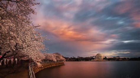 The 7 Best Landscape Photographers in Washington, DC - Peerspace