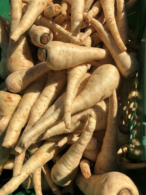 Organic Parsnips (1 lb) | Long Life Farm