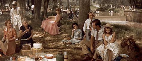 DREAMS ARE WHAT LE CINEMA IS FOR...: PICNIC 1955