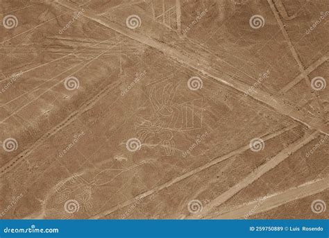 Nazca Lines, Aerial View, Peru Stock Image - Image of textile, aerial ...