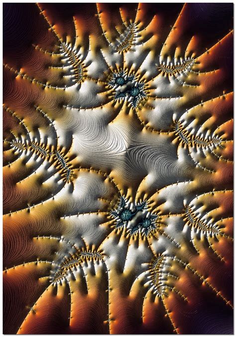 Julia Set - Zoom in | Fractal art, Fractals, Fractal design