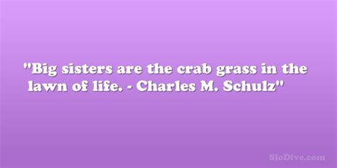 Charles M. Schulz Quotes. QuotesGram