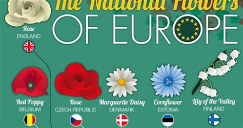 Valanglia: THE NATIONAL FLOWERS OF EUROPE