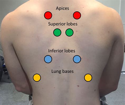 Lung Sound Assessment