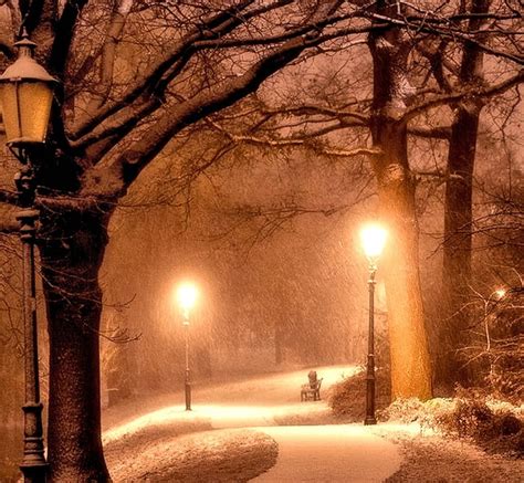 Winter Night, Winter, Nature, Night, Snow HD wallpaper | Pxfuel