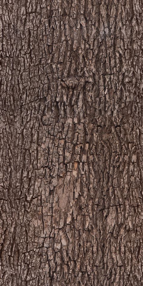 Tree bark - texture, pattern by ivangraphics on DeviantArt