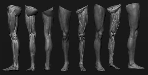 Ren Manuel 3D Art: Leg anatomy study [wip]