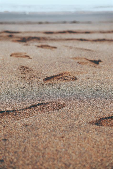 Footprints in the sand on the beach 1990268 Stock Photo at Vecteezy