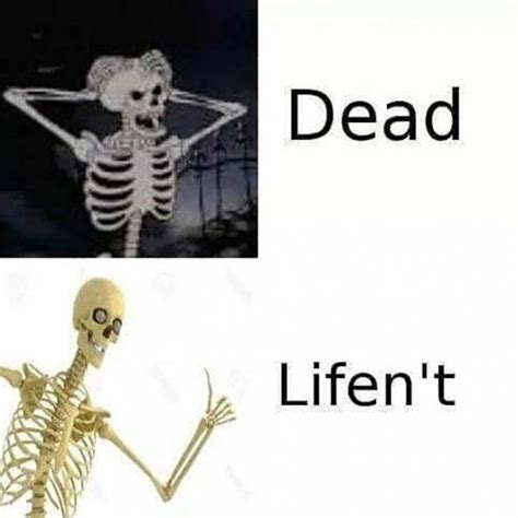 ☠️ 42 Funniest Skeleton Meme - Meme Central