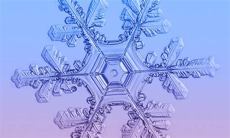 Winter's wonders: Amazing pictures of snowflakes captured in all their ...