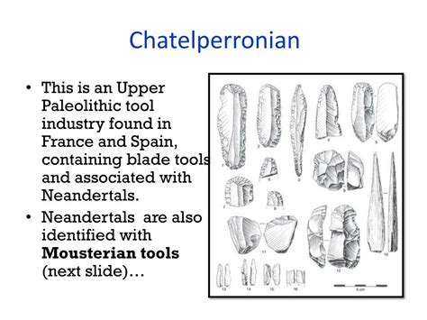 PPT - Neandertal Tools PowerPoint Presentation, free download - ID:5489466