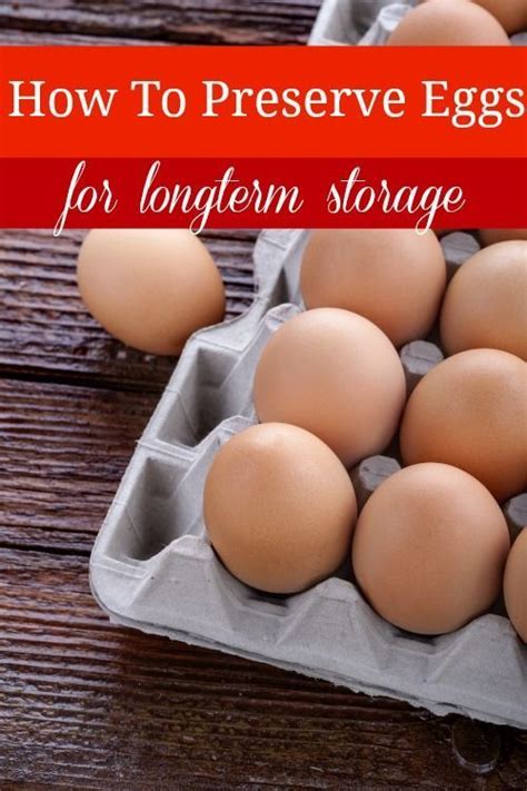 How to Preserve Eggs for Long Term Storage with No Refrigeration | Food, Canning recipes, Cooking