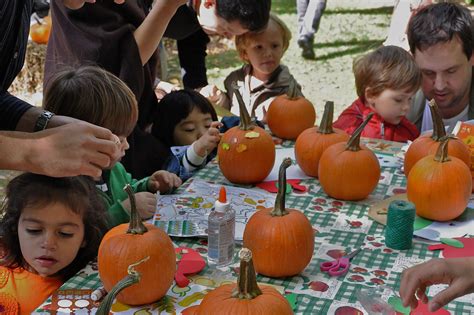 Harvest festival, Pumpkin picking, Festival