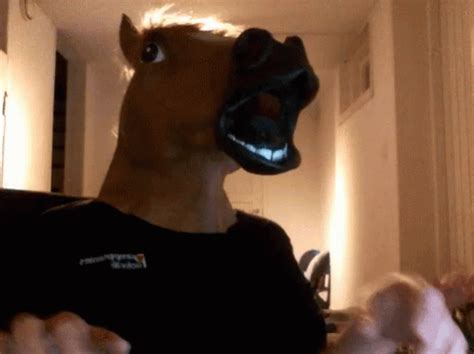 HORSE Head GIF - HORSE Head Funny - Discover & Share GIFs