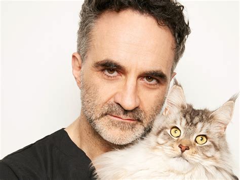 The Supervet Channel, TV review: Noel Fitzpatrick returns to Channel 4 ...