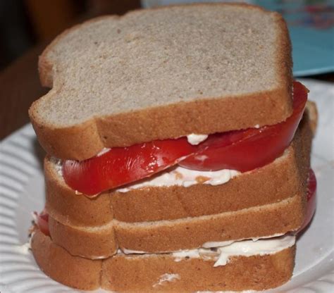 Tomato and Mayo Sandwich - Easy Recipes