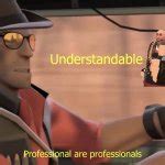 Professional are professionals Meme Generator - Imgflip