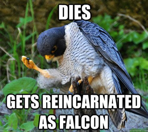 Dies Gets reincarnated as falcon - Success Falcon - quickmeme