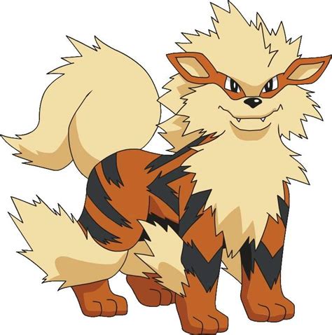 Arcanine VS Ninetales | Pokémon Amino