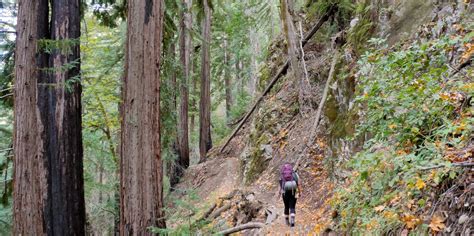 The Best of Big Sur: Hiking, Camping, Beaches, and Waterfalls - Outdoor ...