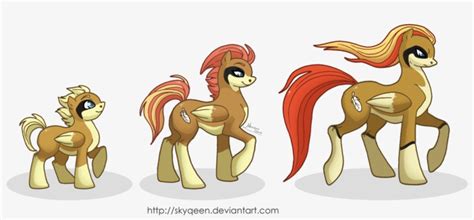 Mysweetqueen, Evolution Chart, Pegasus, Pidgeot, Pidgeotto, - Full Evolution Of Pidgey ...