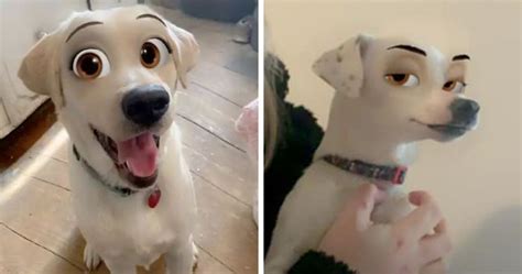 Este nuevo filtro de Snapchat hace que tu perro parezca un personaje ...