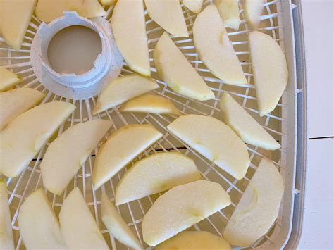 Easy Recipe for Homemade Dried Apple Slices - the Perfect Fall Snack ...