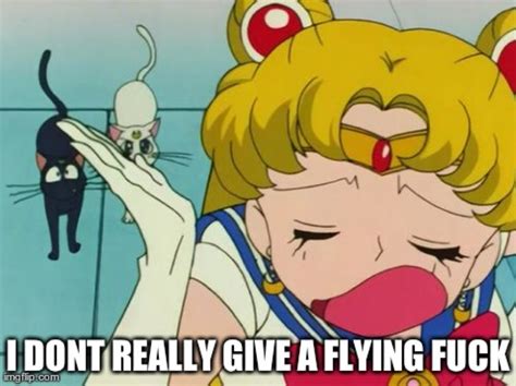 80+ Relatable Sailor Moon Memes For True Fans – FandomSpot