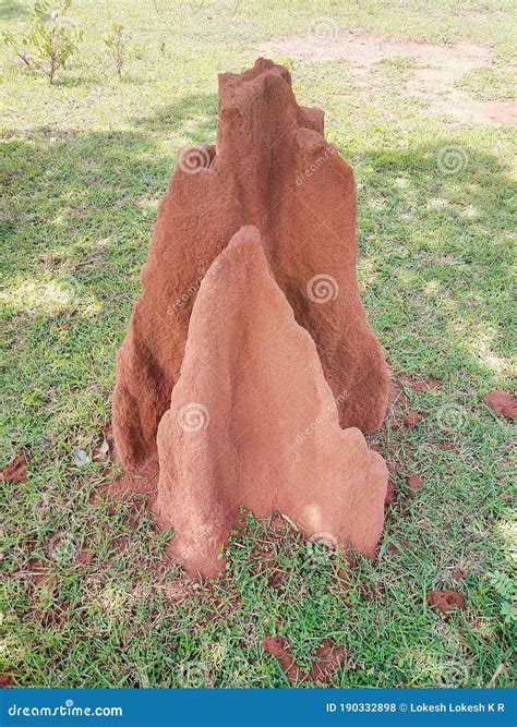 Snake house stock photo. Image of monument, garden, carving - 190332898