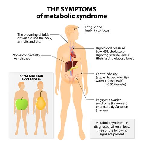 Diabetes Symptoms in Men - University Health News